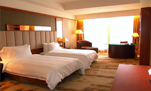 ����˫����