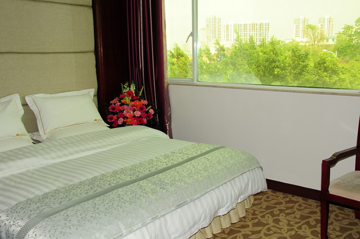 ���¥����